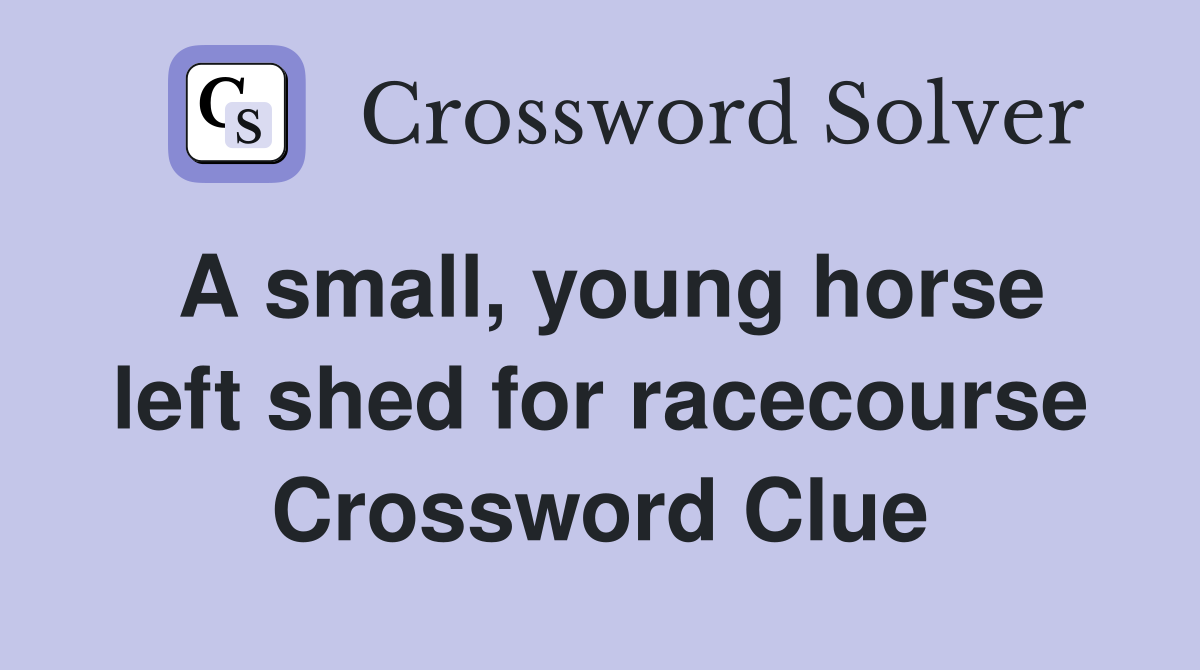 A small, young horse left shed for racecourse Crossword Clue Answers